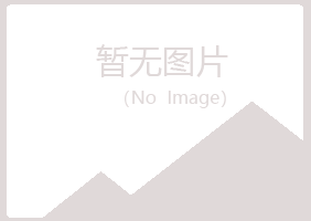 山东盼夏能源有限公司